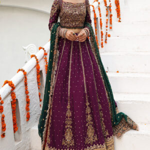 Shadi Edits Special Lehenga Choli